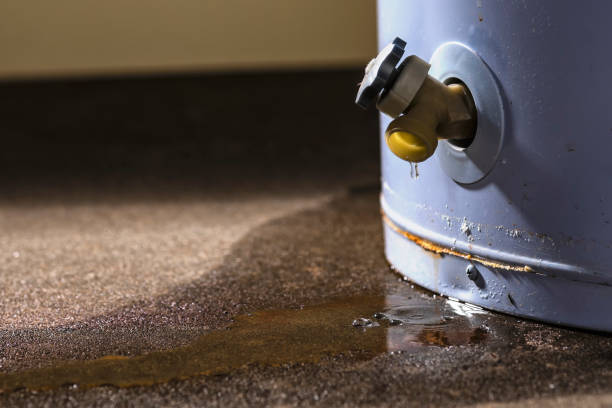 Best Carpet water damage restoration  in Mount Joy, PA