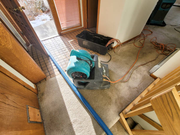 Best 24-hour water damage restoration  in Mount Joy, PA