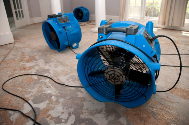 Best Flood damage cleanup  in Mount Joy, PA