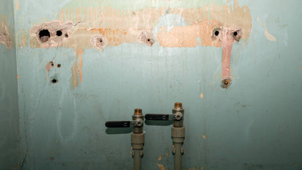 Best Residential water damage restoration  in Mount Joy, PA